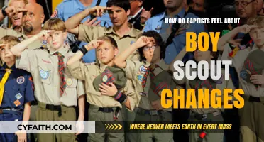Boy Scout Changes: A Baptist Perspective on the Evolving Program