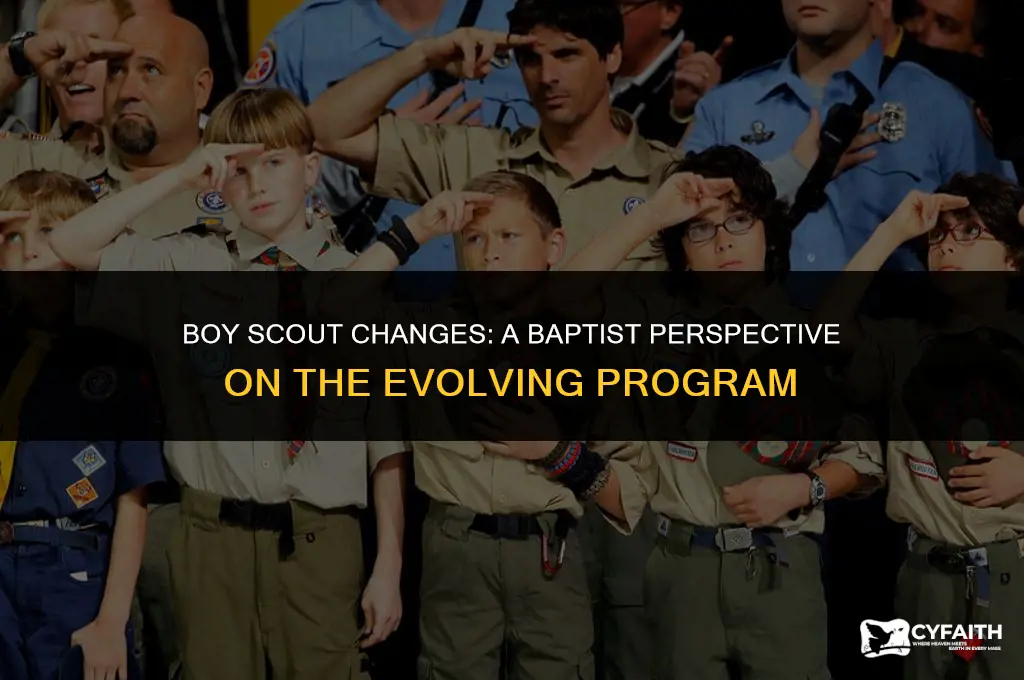 how do baptists feel about boy scout changes