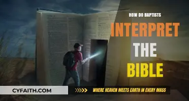 Understanding Scripture: A Baptist Perspective on Biblical Interpretation