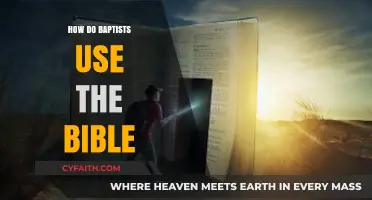 Exploring Scripture: A Baptist Perspective on Biblical Interpretation