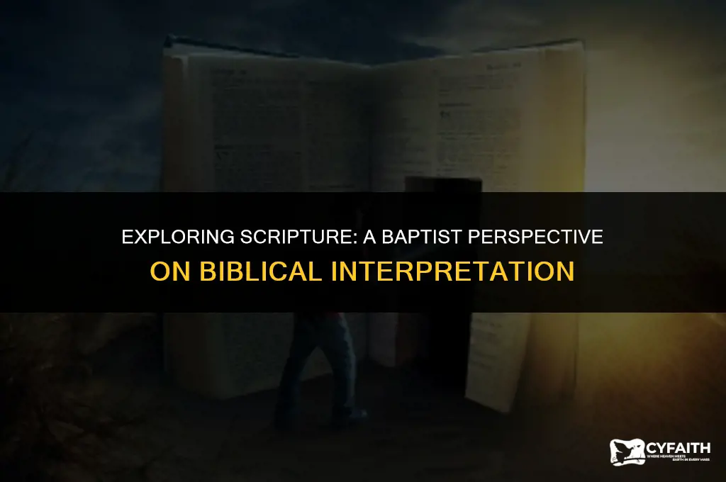 how do baptists use the bible