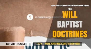 Exploring the Theological Divide: Calvinism vs. Free Will Baptism