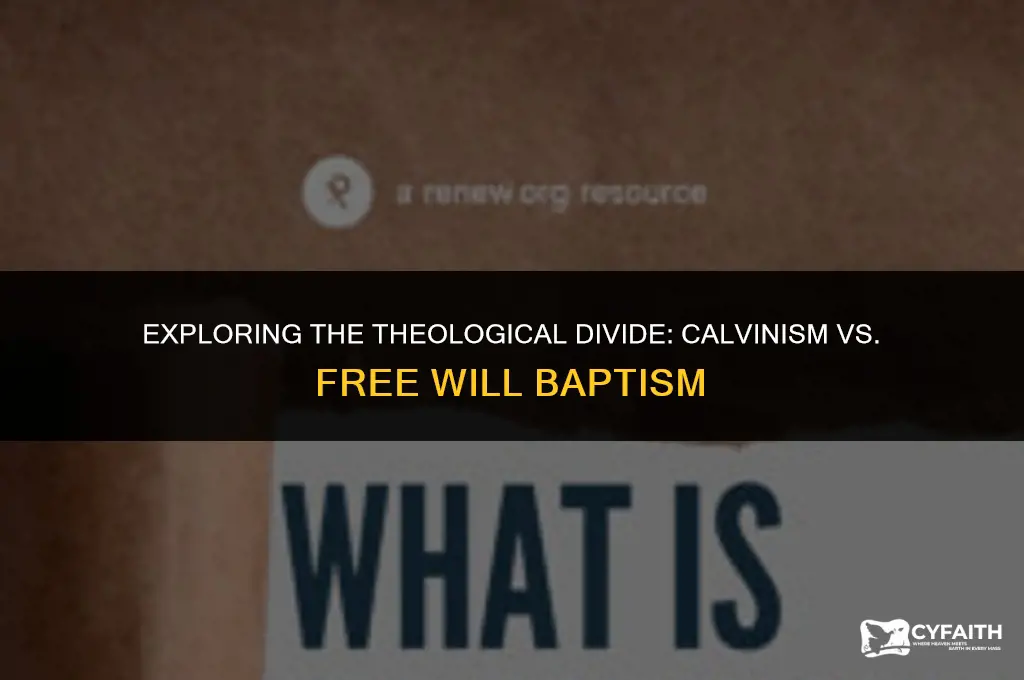 how do calvinist doctrines differ from free will baptist doctrines