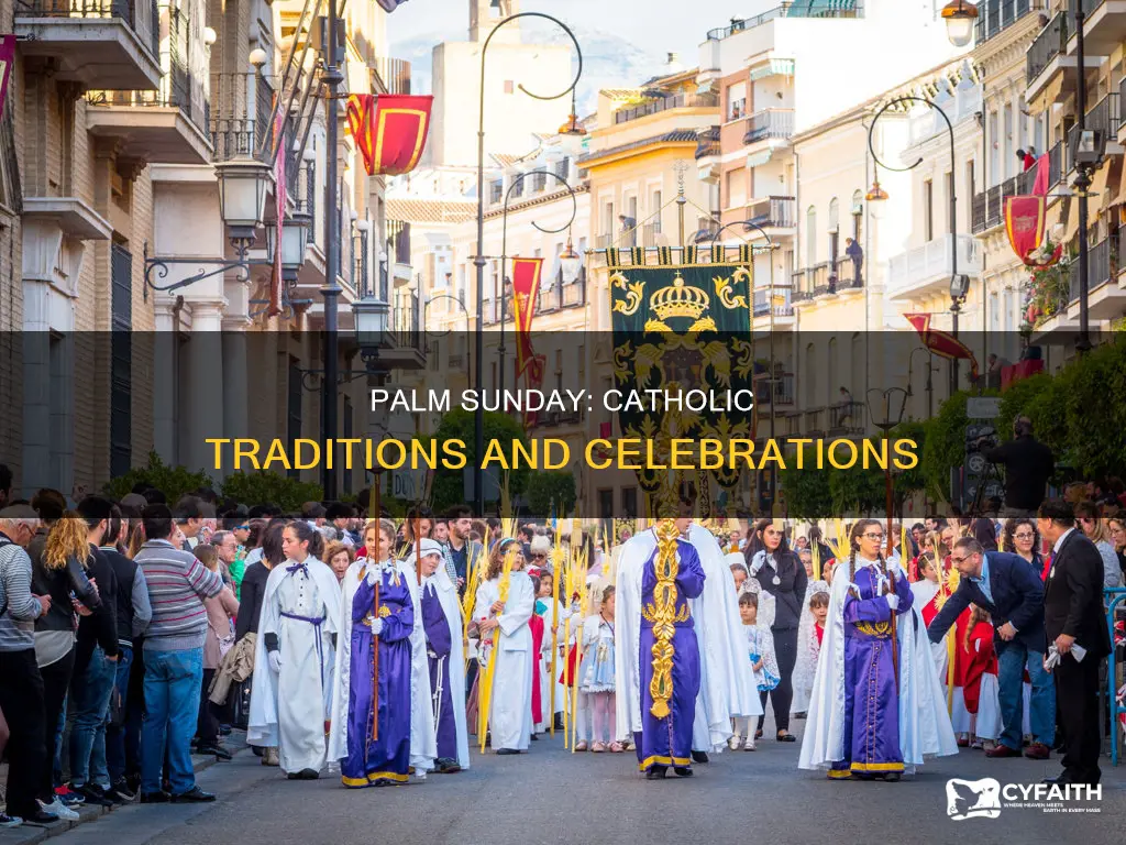 how do catholic celebrate palm sunday