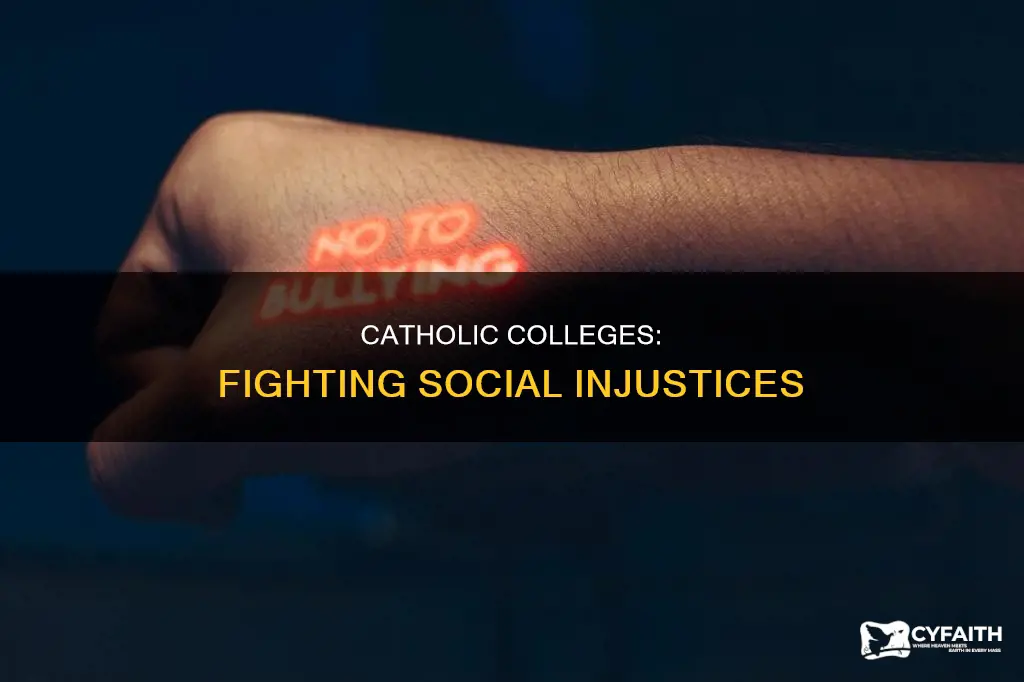 how do catholic colleges help with social injustices