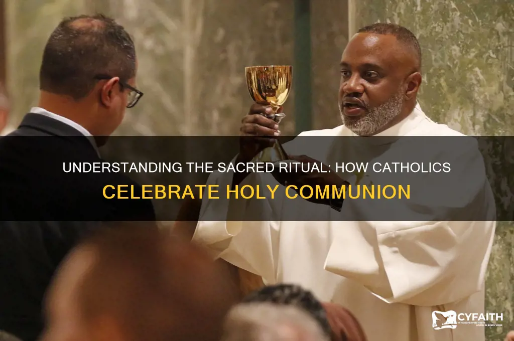 how do catholic do communion