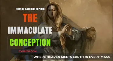 Understanding the Immaculate Conception in Catholic Theology