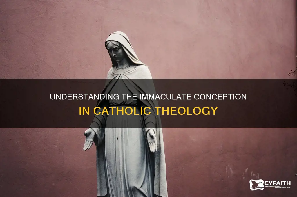 how do catholic explain the immaculate conception
