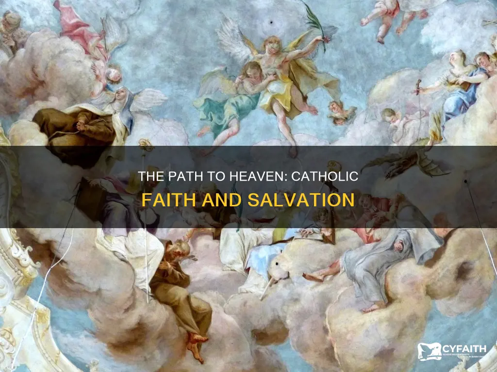how do catholic get to heaven