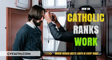 Understanding Catholic Hierarchy: A Guide to Ecclesiastical Ranks and Roles