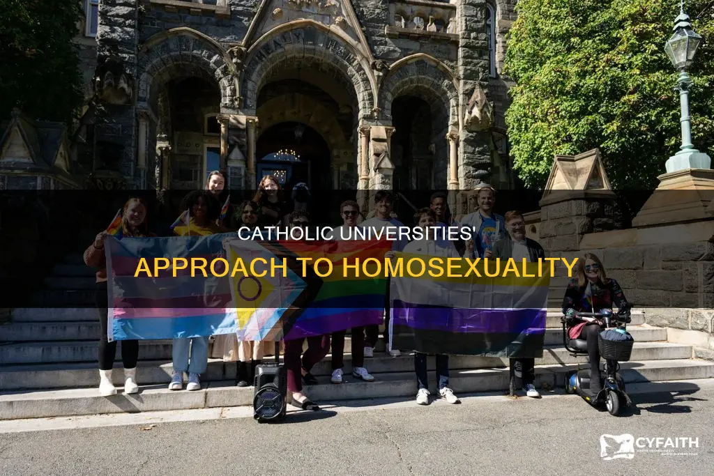 how do catholic universities feel about homose xuality