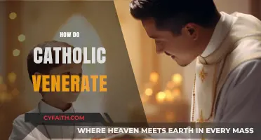 Understanding Catholic Veneration: Practices, Saints, and Sacred Traditions Explained