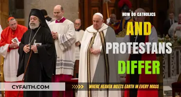 Catholics vs Protestants: What Are the Key Differences?
