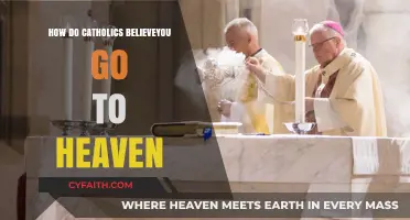 The Path to Heaven: Catholic Beliefs Explored