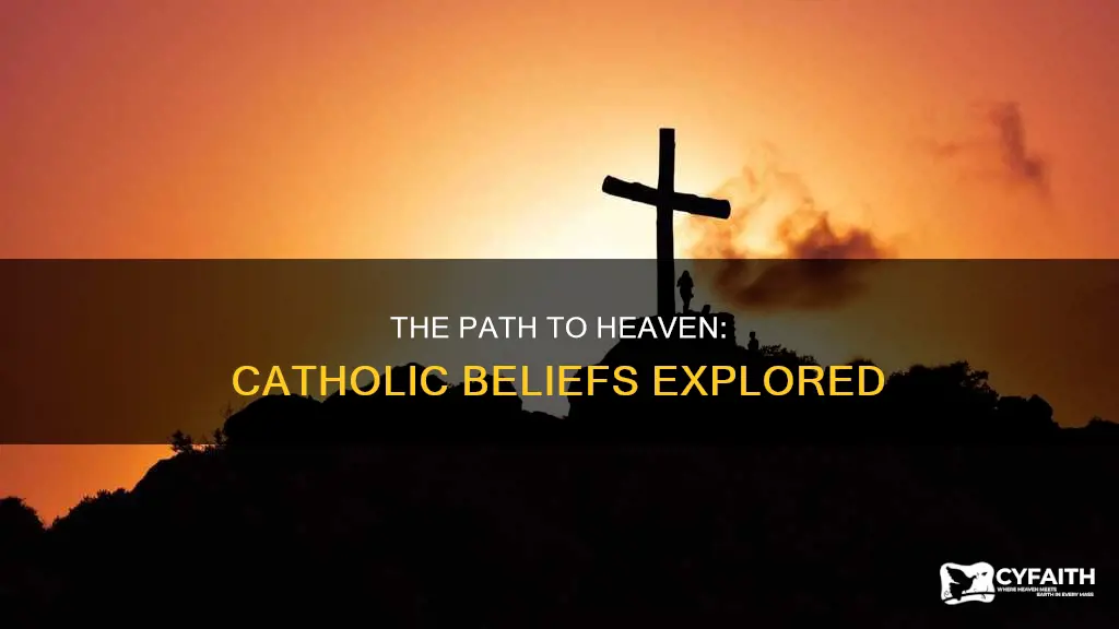 how do catholics believeyou go to heaven