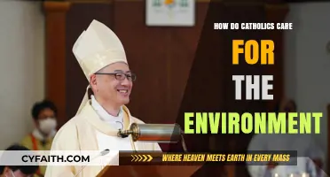 Catholics' Role in Environmental Stewardship