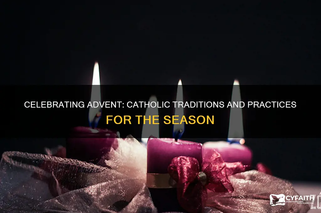 how do catholics celebrate advent