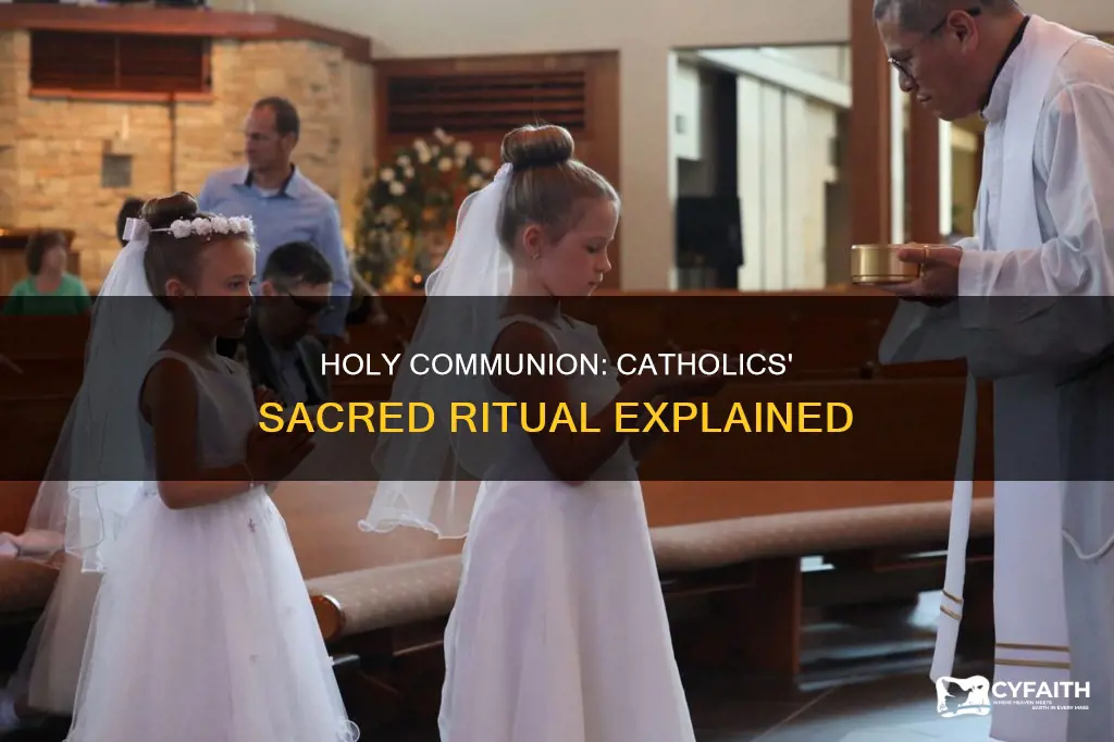 how do catholics celebrate holy communion
