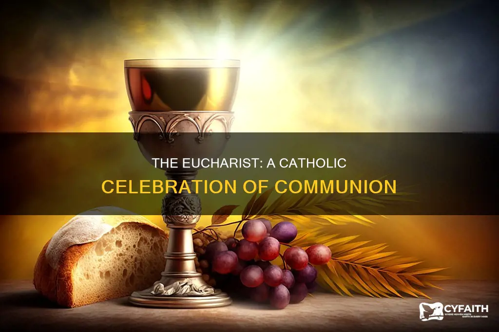 how do catholics celebrate the eucharist