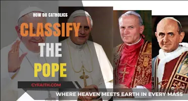 The Pope's Role in Catholicism: A Classification