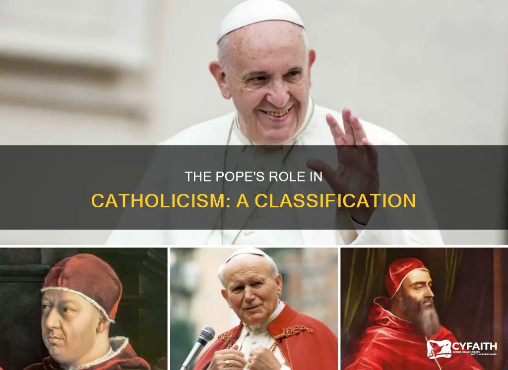how do catholics classify the pope