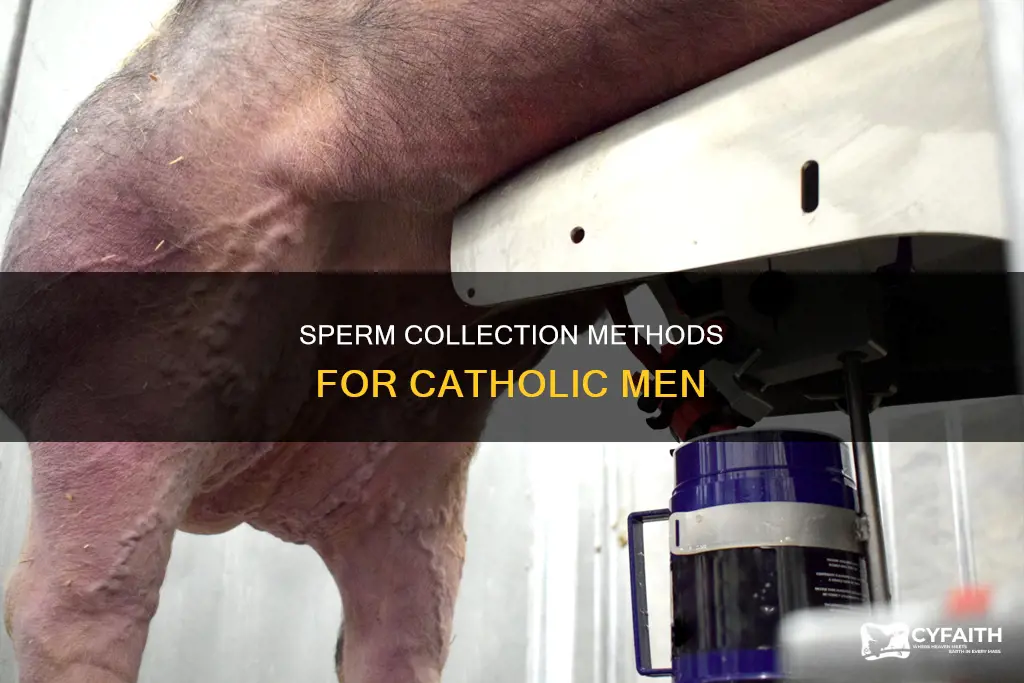 how do catholics collect sperm samples