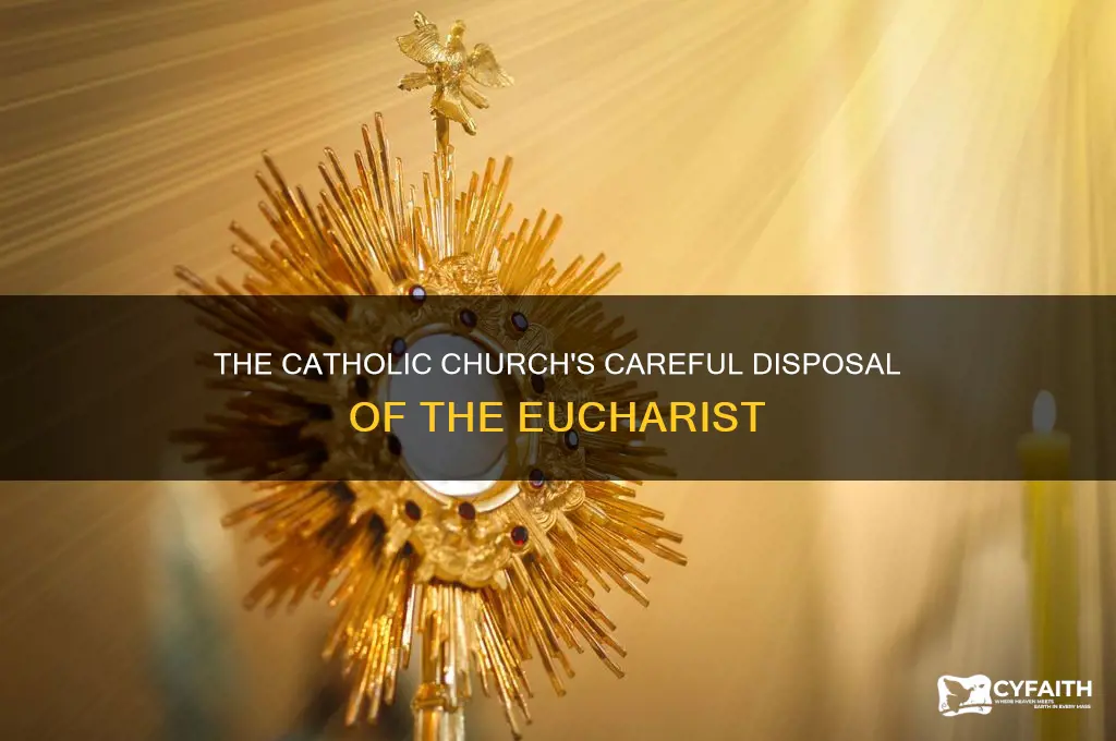how do catholics despose of eucharist