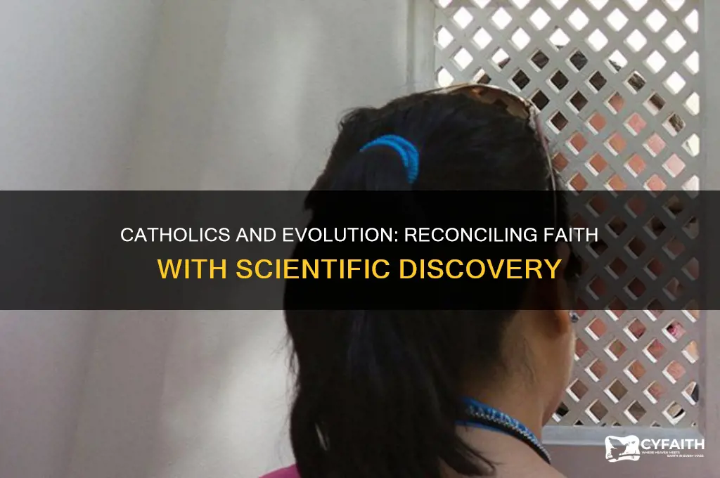 how do catholics explain evolution