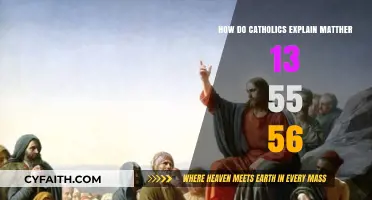 Explaining the Brothers of Jesus in Matthew 13:55-56