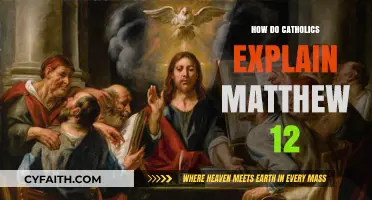 Explaining Matthew 12: Catholics Interpret Scripture