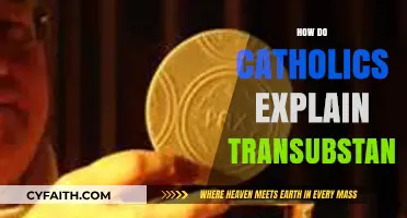 Understanding Transubstantiation: Catholic Doctrine on the Eucharist Explained