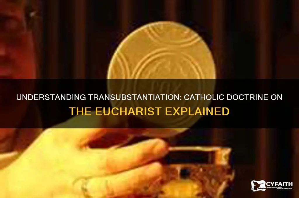 how do catholics explain transubstantiation