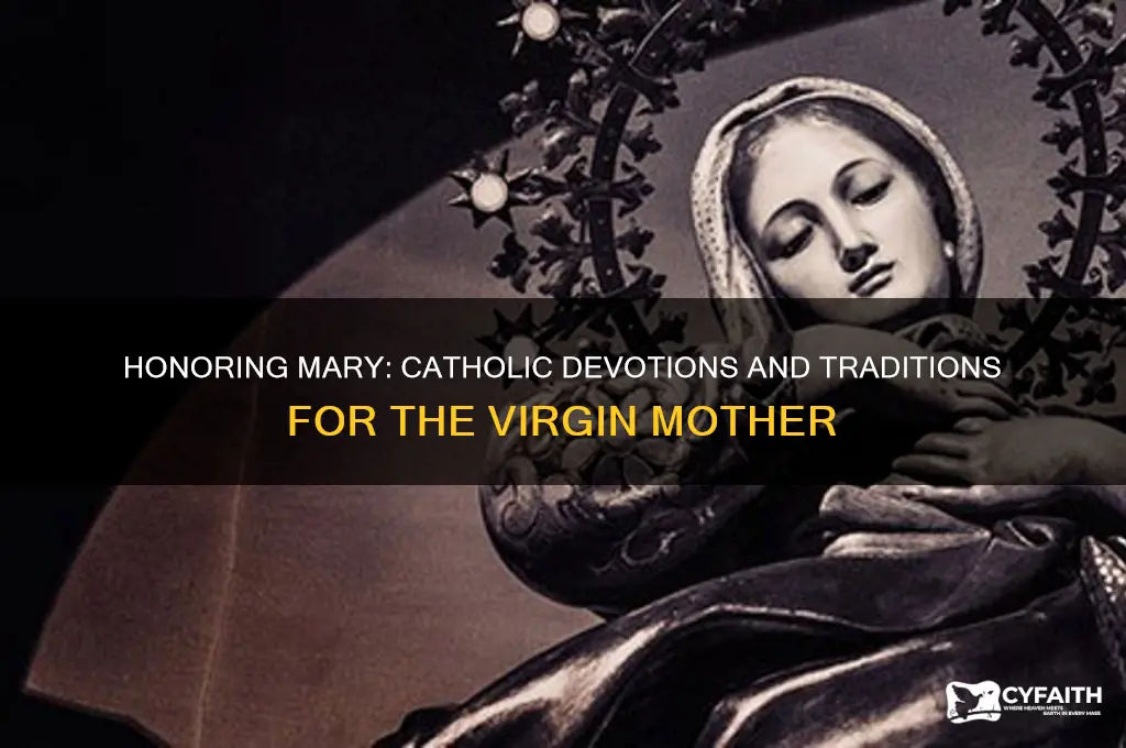 how do catholics express honor for the virgin mary