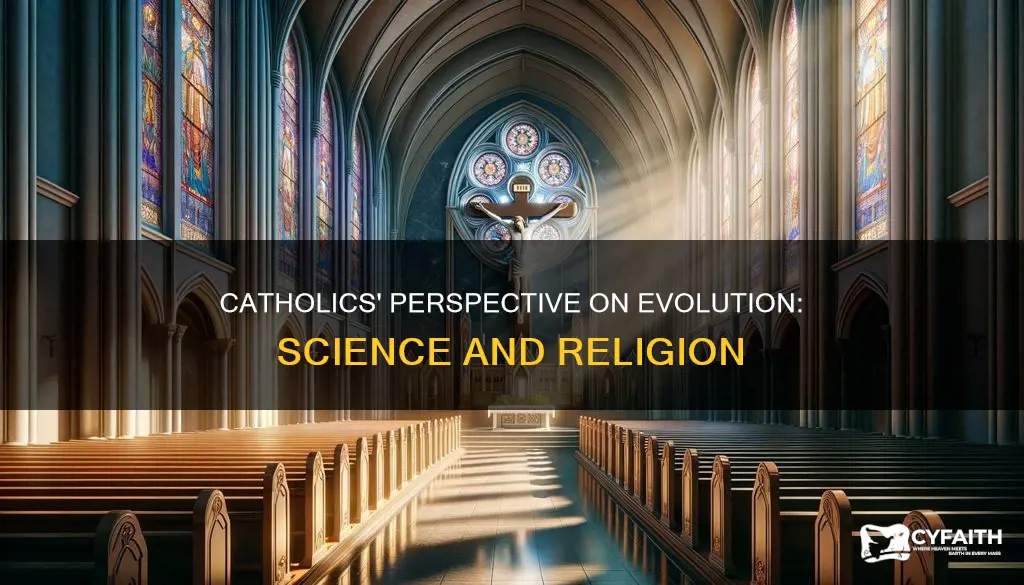 how do catholics feel about evolution