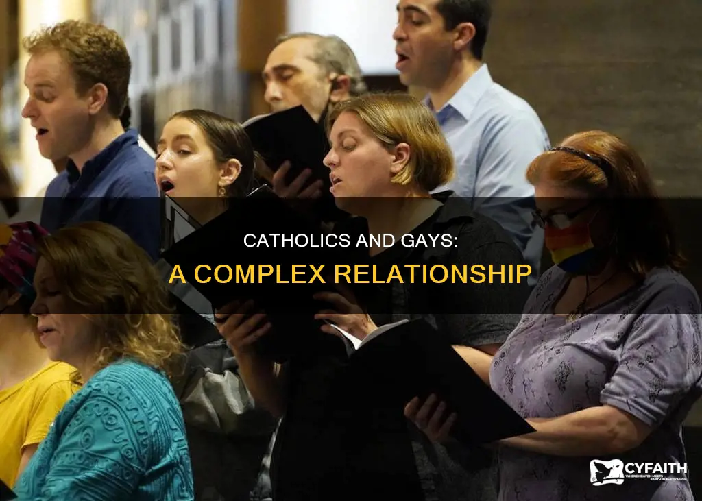 how do catholics feel about gays