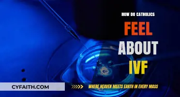 Catholics and IVF: Exploring Religious Views on Fertility Treatments