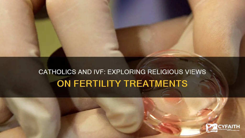 how do catholics feel about ivf