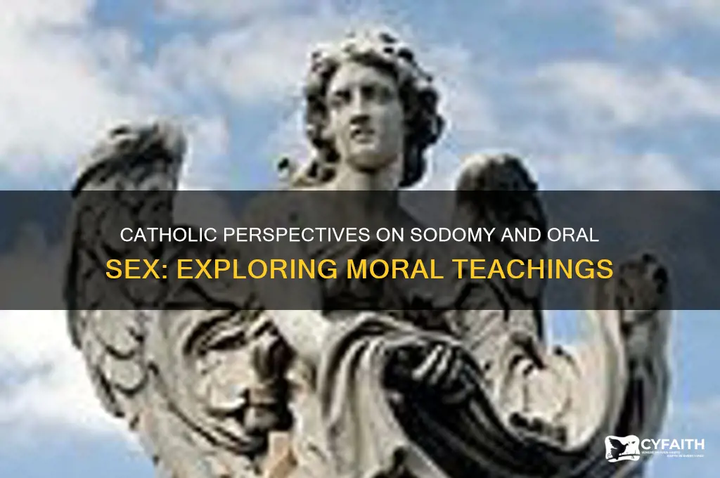 how do catholics feel about sodomy and oral sex