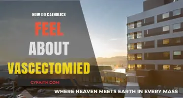 Catholics and Vasectomies: What's the Verdict?