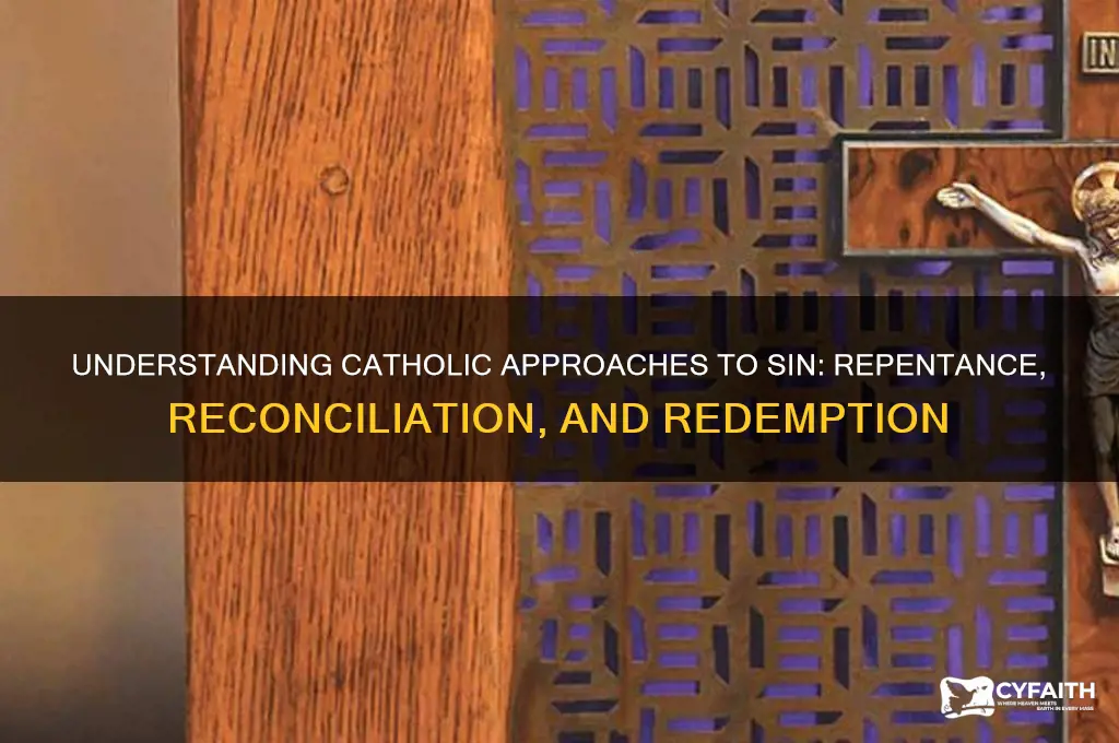 how do catholics handle sin
