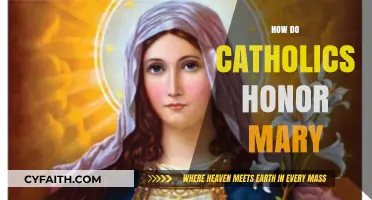 Honoring Mary: Catholic Devotions, Prayers, and Traditions Explained