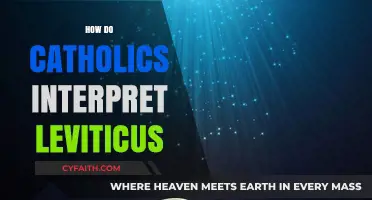 Catholic Insights: Interpreting Leviticus in Modern Faith Practices