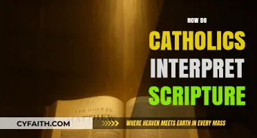 Understanding Catholic Scripture Interpretation: Tradition, Context, and Sacred Meaning