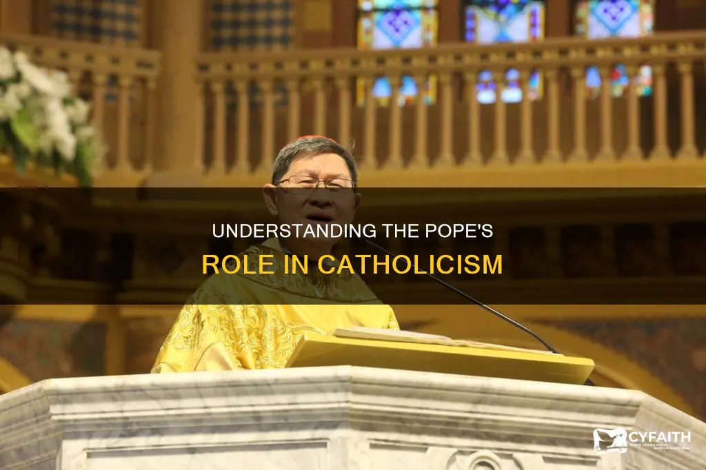 how do catholics justify the pope