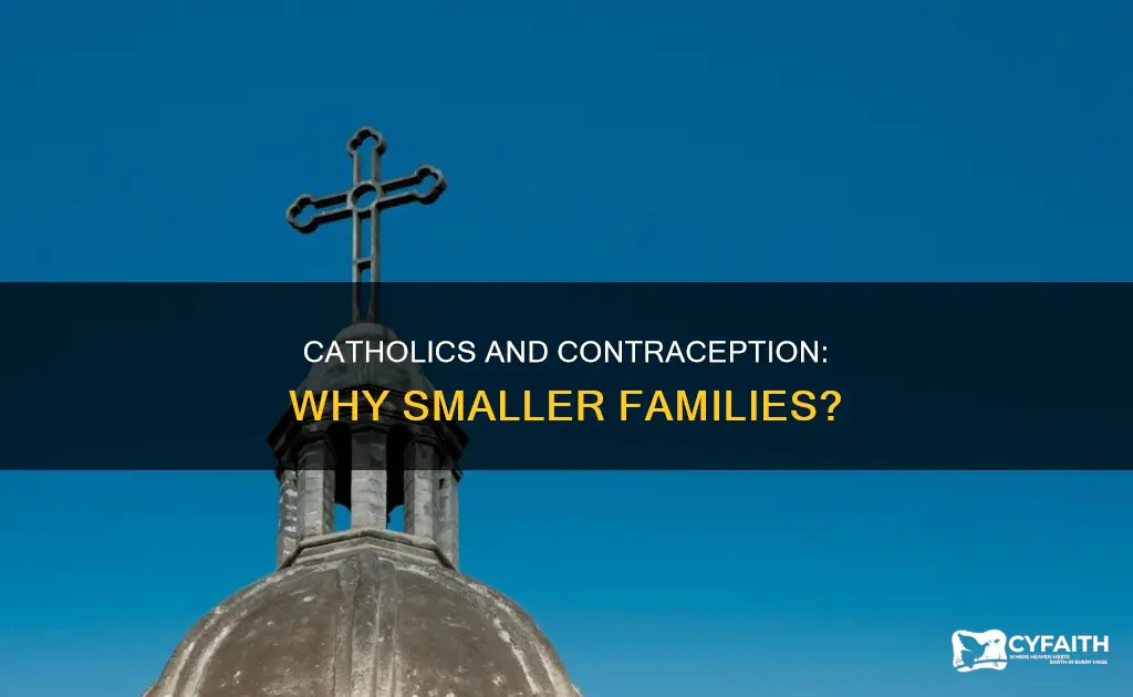 how do catholics not have too many babies