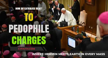 Catholics and Pedophilia: A Complex Reaction