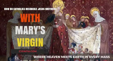 Mary's Perpetual Virginity: Understanding Jesus' Brothers in Catholic Tradition