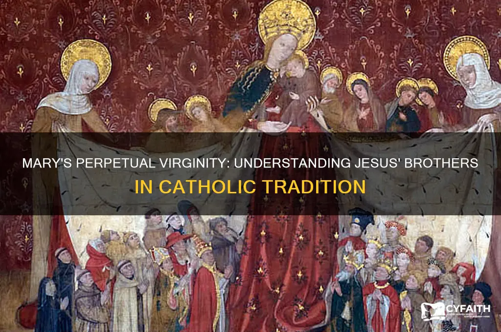 how do catholics reconcile jesus brothers with mary
