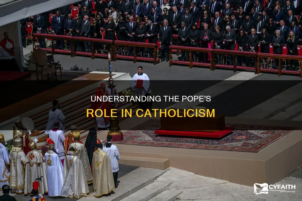 how do catholics refer to the pope