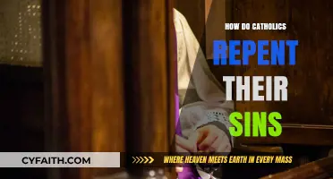 Catholics and the Path to Repentance and Forgiveness